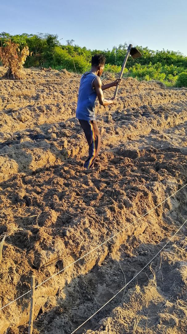 Préparation des planches pour la prochaine saison de culture